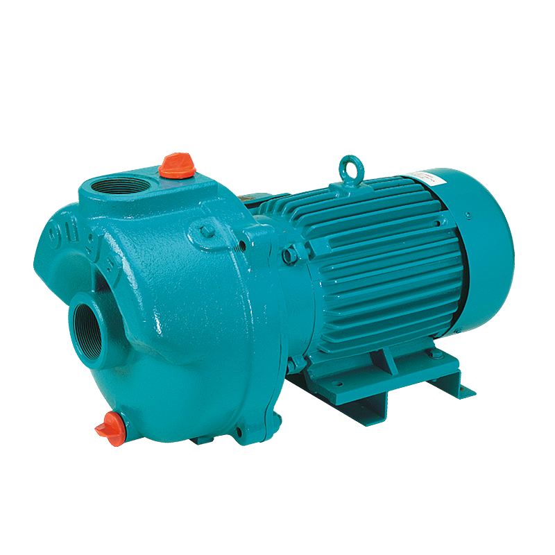 18 Series Onga Pump Shop