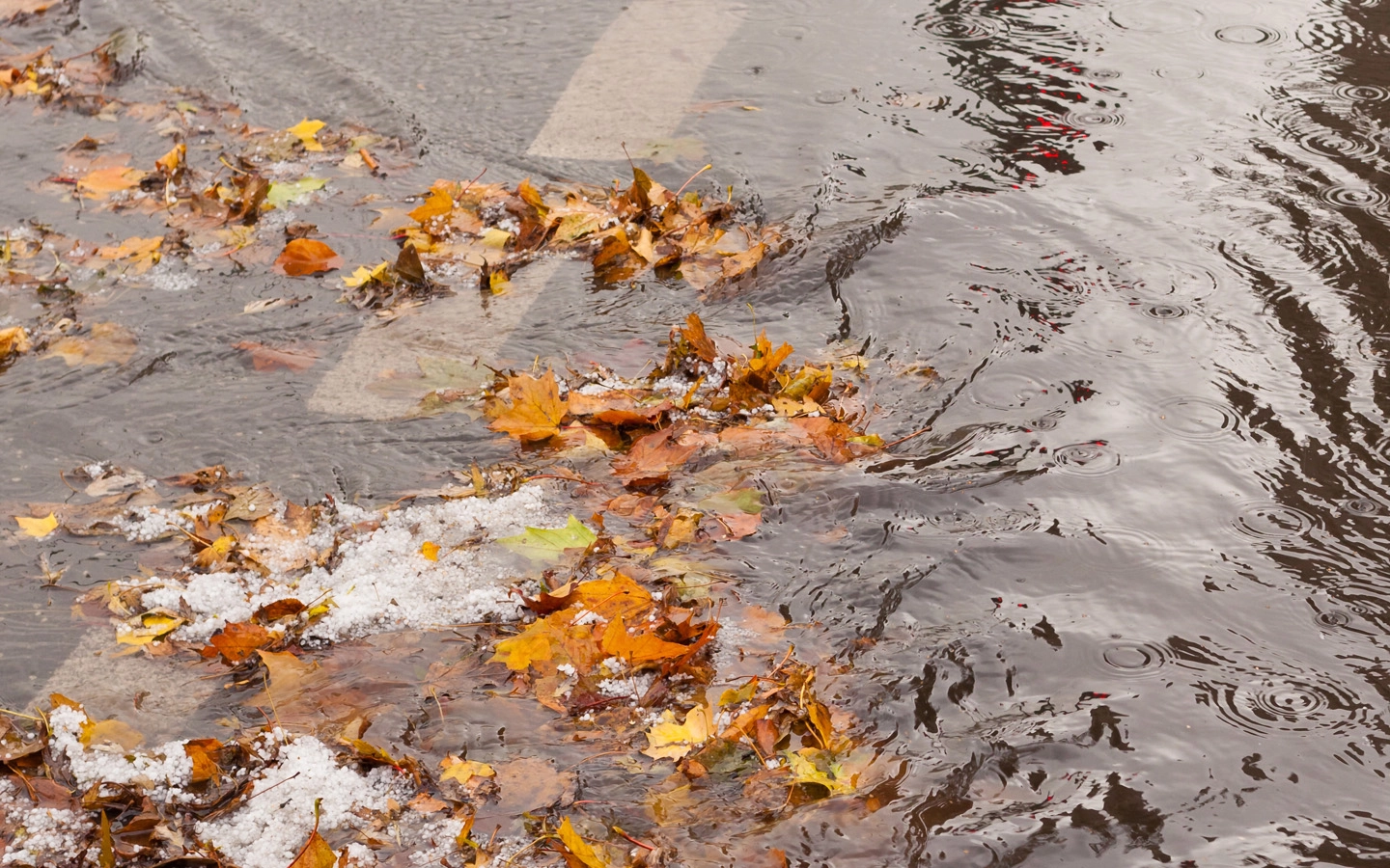 Submersible-Pump-lifetstyle-image